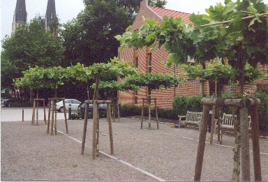 Bouleplatz in Billerbeck